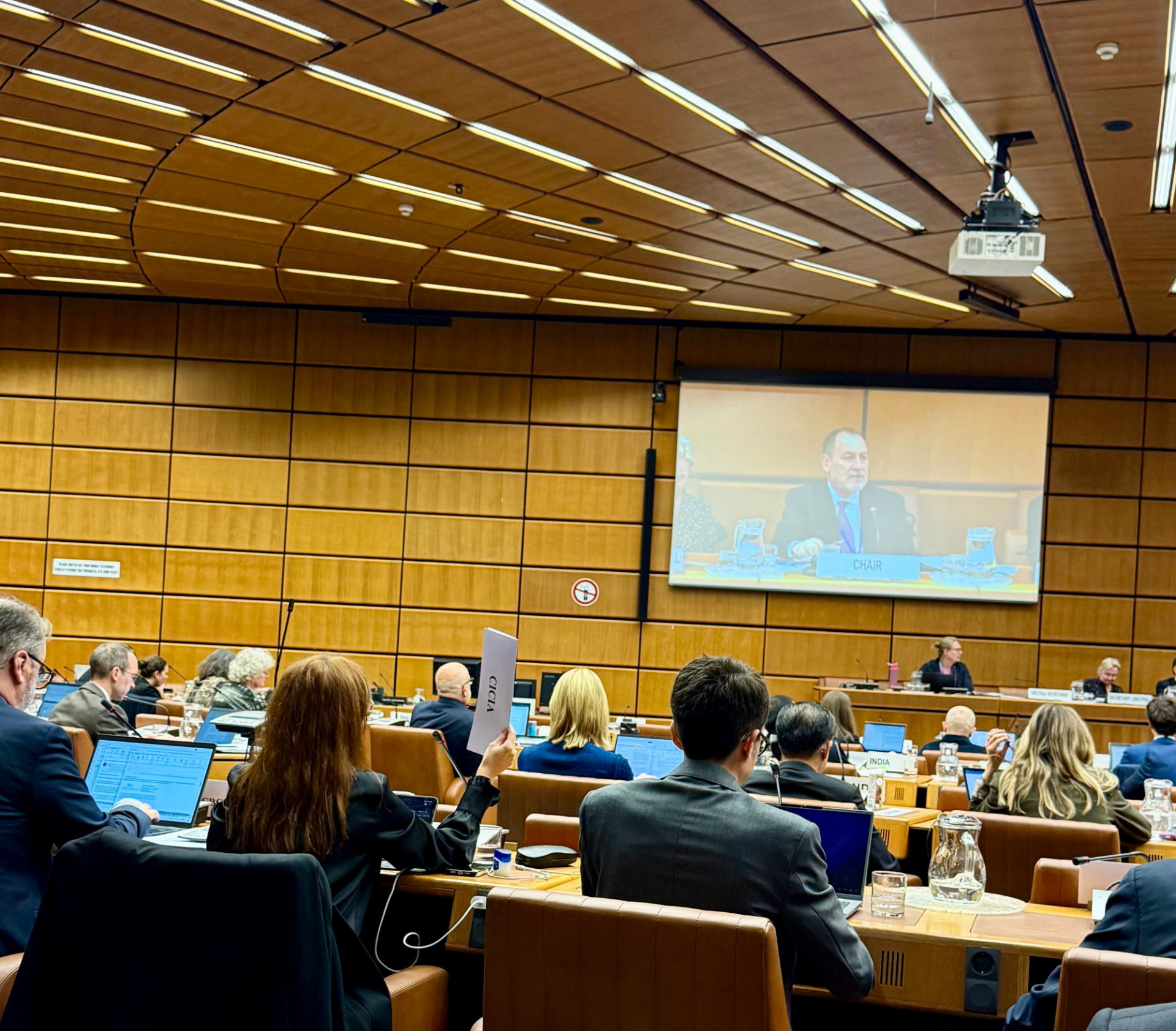 Intervention at The Debate (Requesting a Speaking Turn)